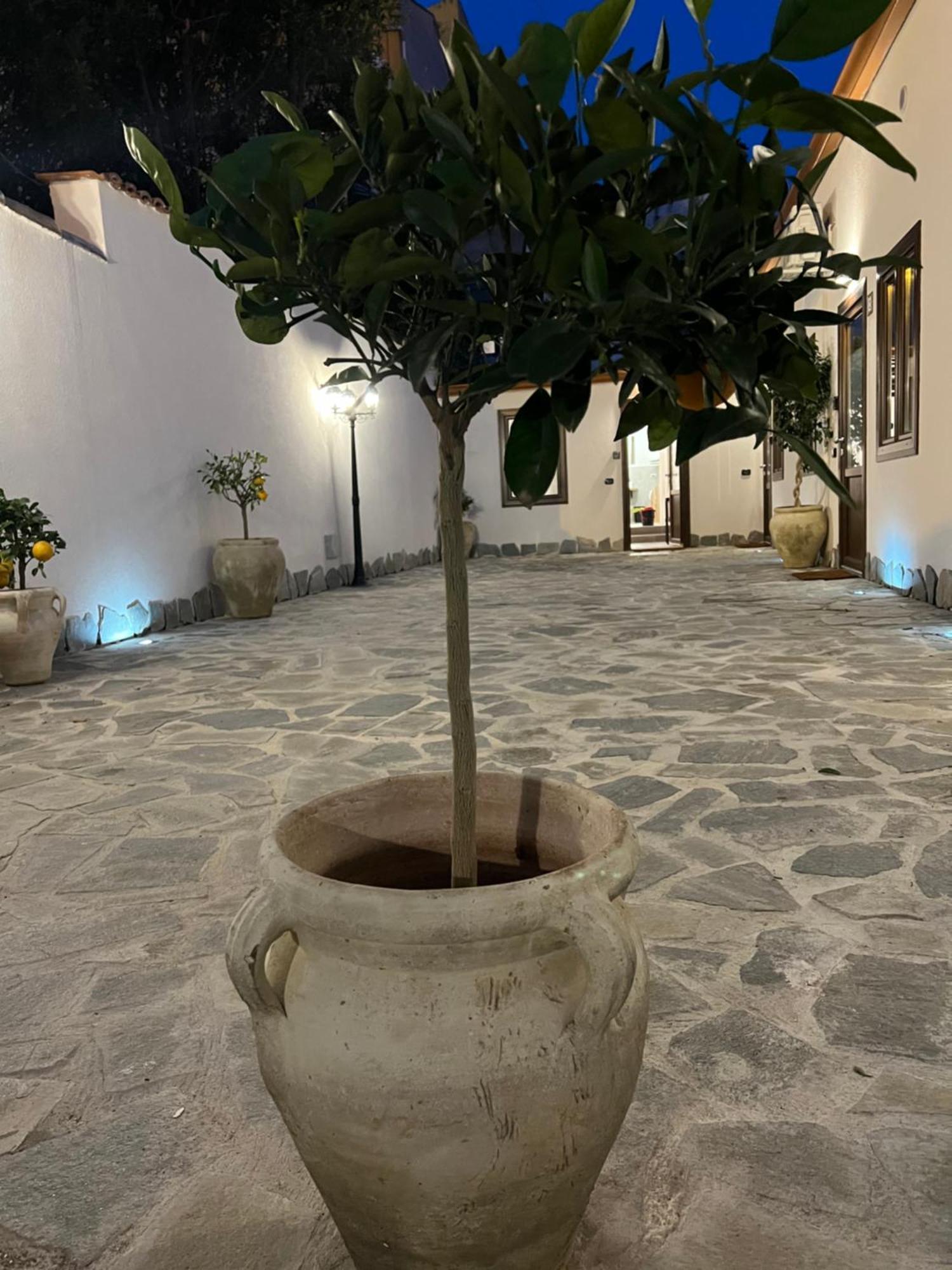 Cedros Appartement Palermo Buitenkant foto